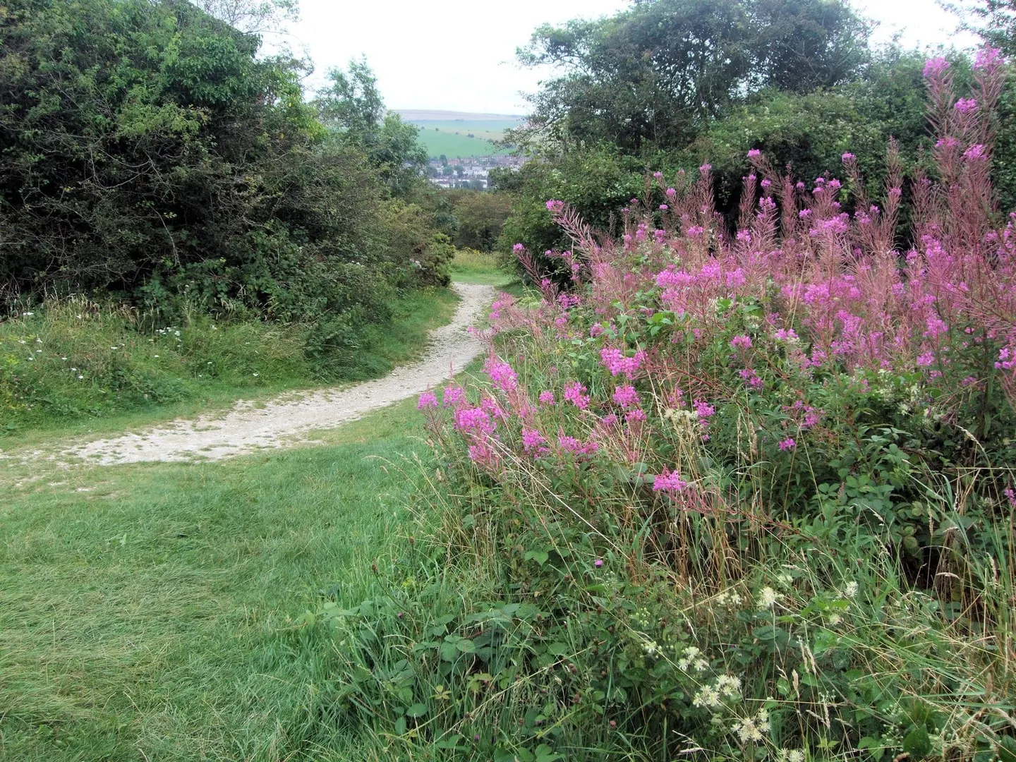 Photo of Hollingbury Hillfort, a hillfort near Brighton in the South Downs, East Sussex, south east England.