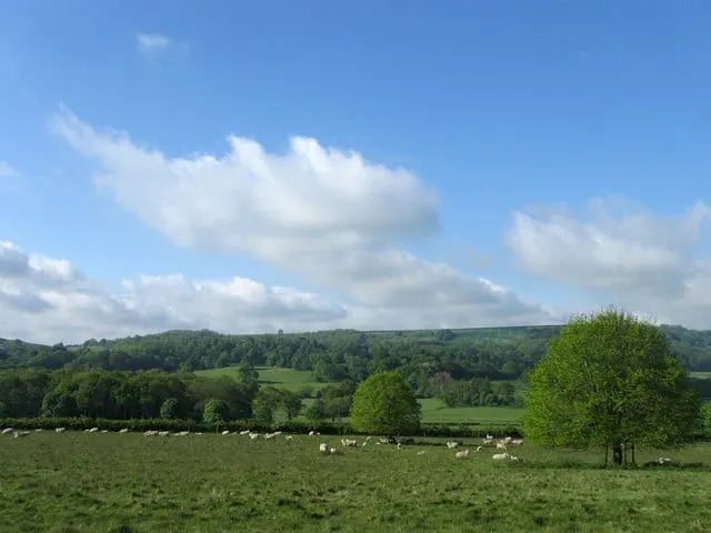 Photo of Warren Hill, a country estate near Storrington in the South Downs, West Sussex, south east England.