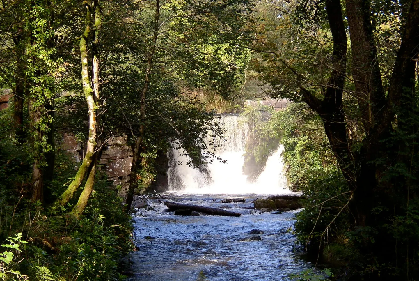 Photo of Penllergare Valley Woods, a garden near Penllergaer, Swansea, south west Wales.