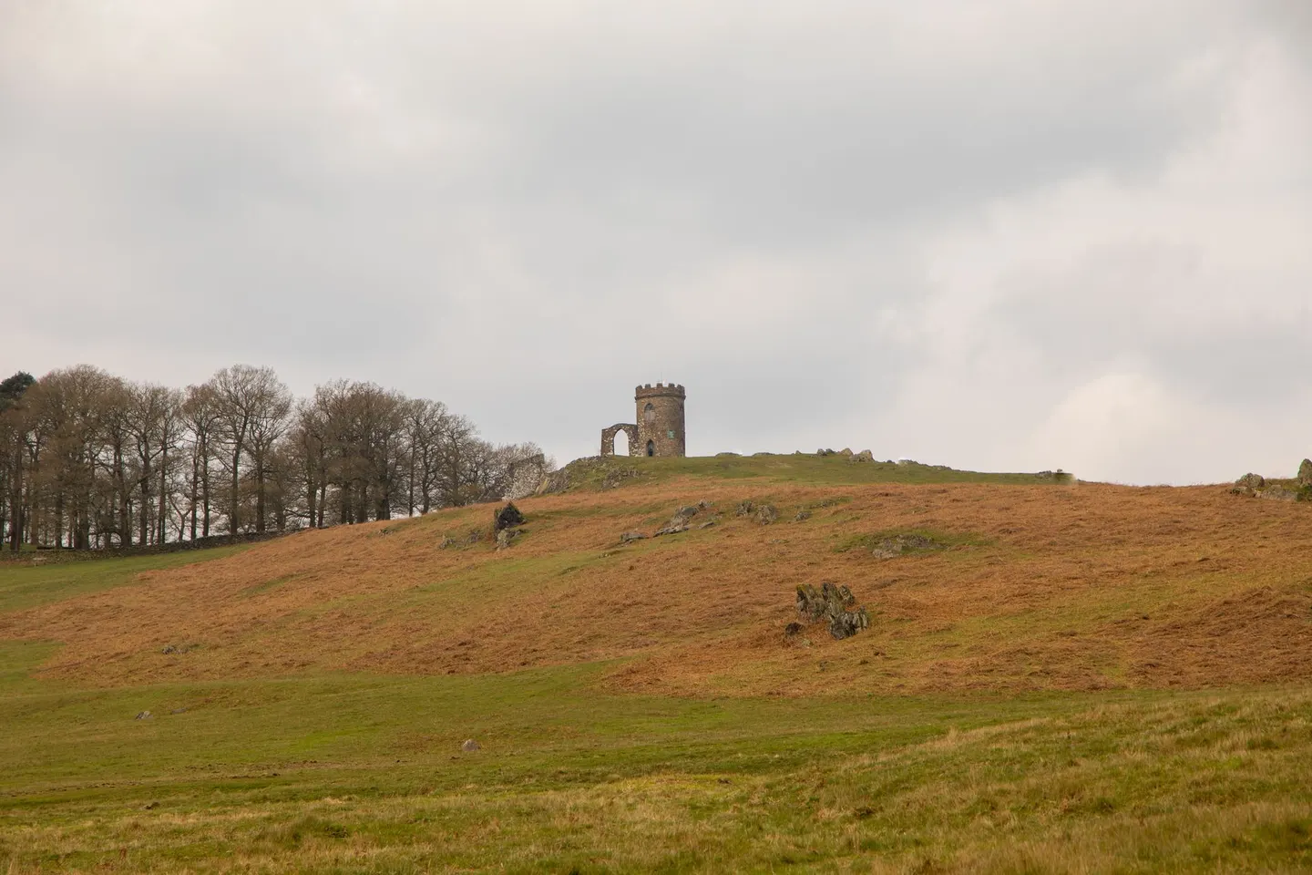 Photo of Bradgate Park and Swithland Woods, a country park near Newtown Linford, Leicestershire, central England.