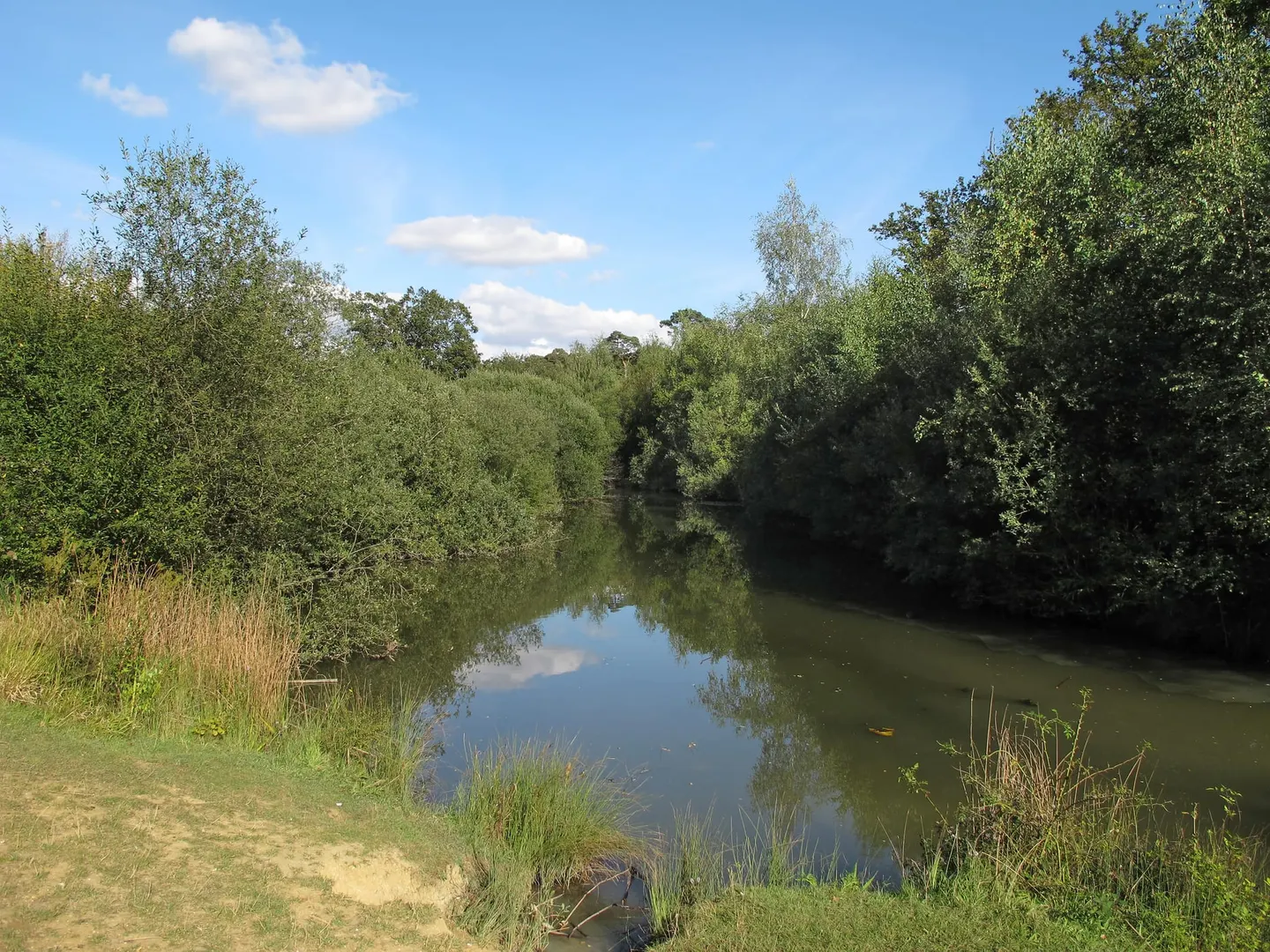 Photo of Hatfield Forest, a National Nature Reserve near Great Dunmow, Essex, eastern England.