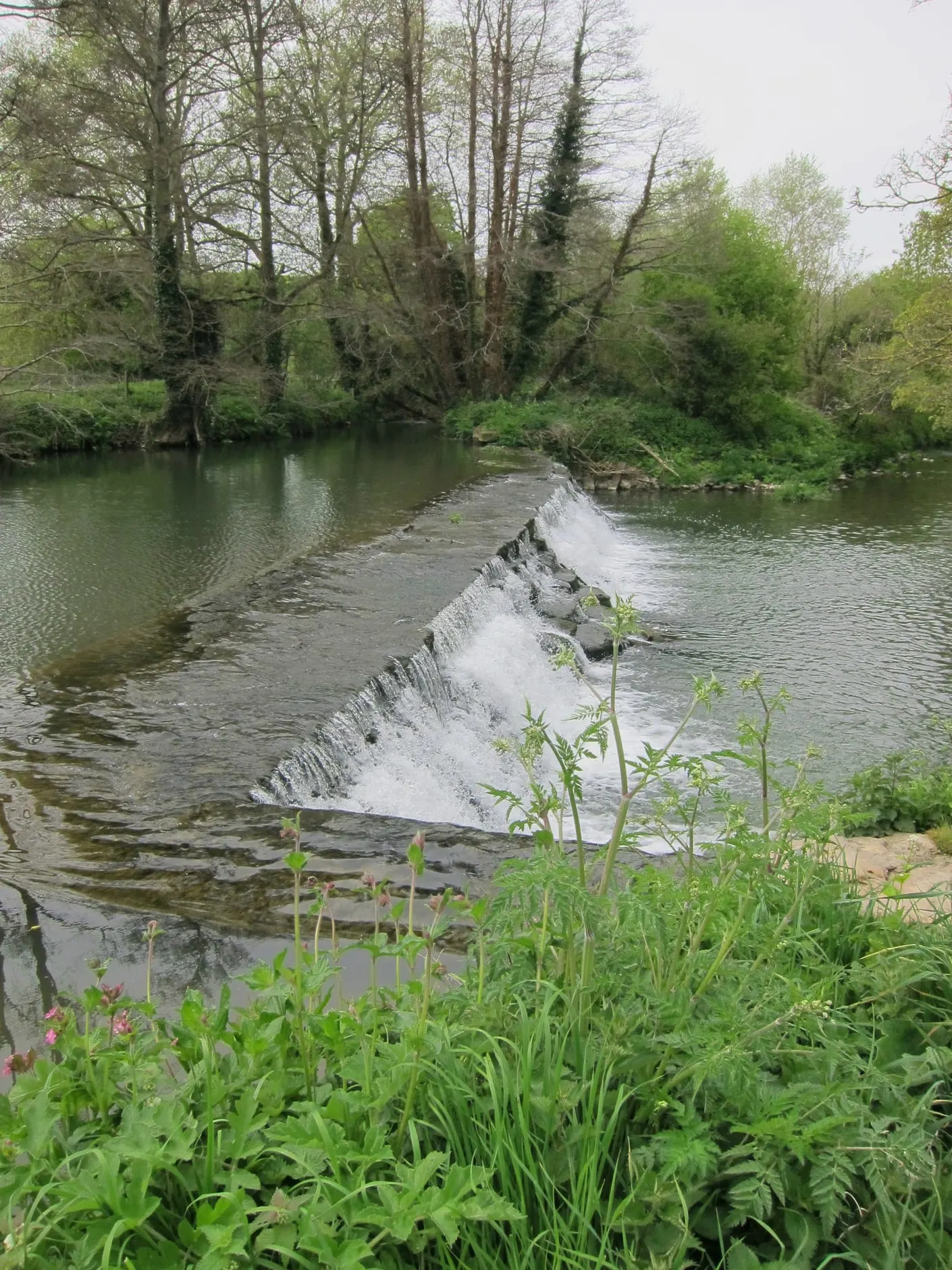 Photo of River Frome at Farleigh Hungerford, a swimming spot near Iford, Somerset, south west England.