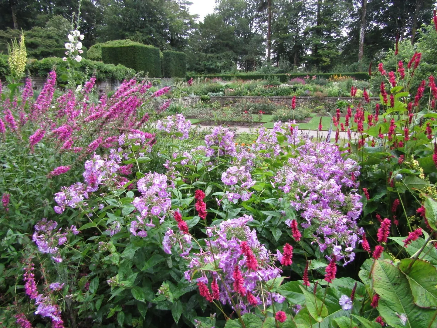 Photo of Castle Drogo, Devon — the formal garden.