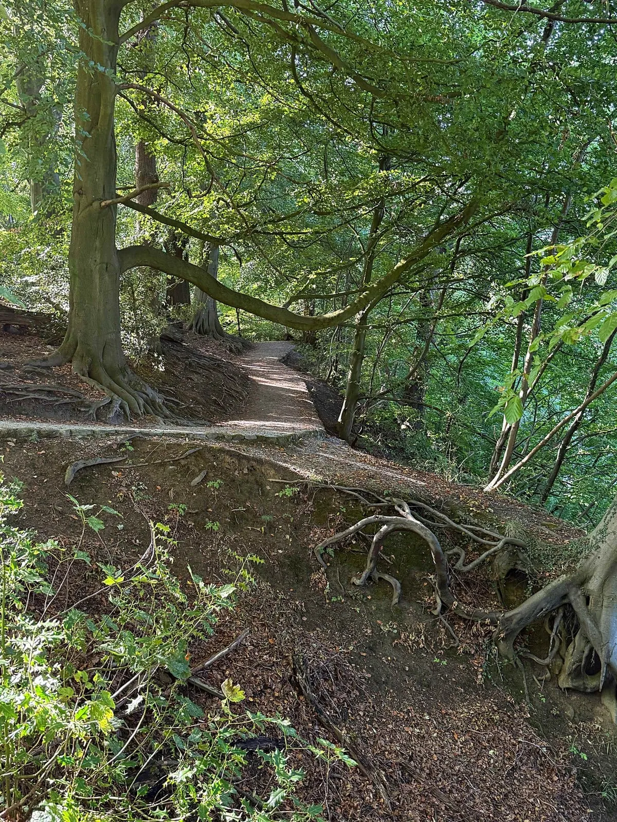 Photo along the Dales Way, an 80-mile long-distance path running from Ilkley to Bowness-on-Windermere, England.