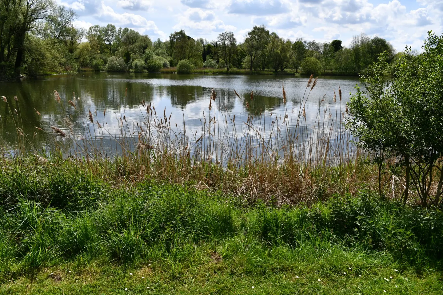 Photo of Fullers Mill Garden, a garden near West Stow, Suffolk, eastern England.