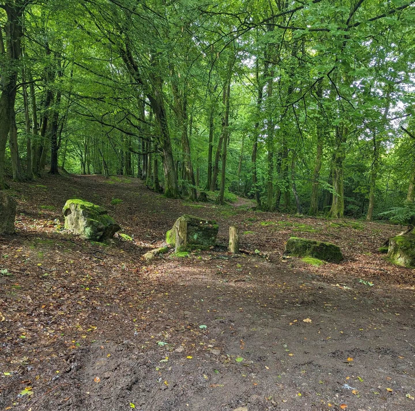 Photo: Wentwood, a 309m hill near Penhow, Newport, south east Wales.