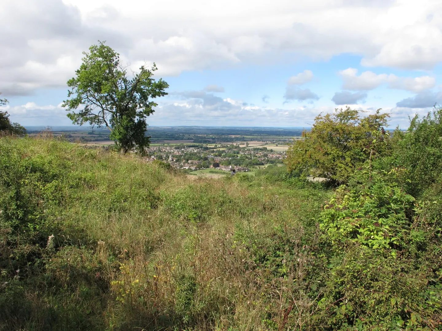 Photo of Chinnor Hill, a Site of Special Scientific Interest near Bledlow in the Chilterns, Oxfordshire, south east England.