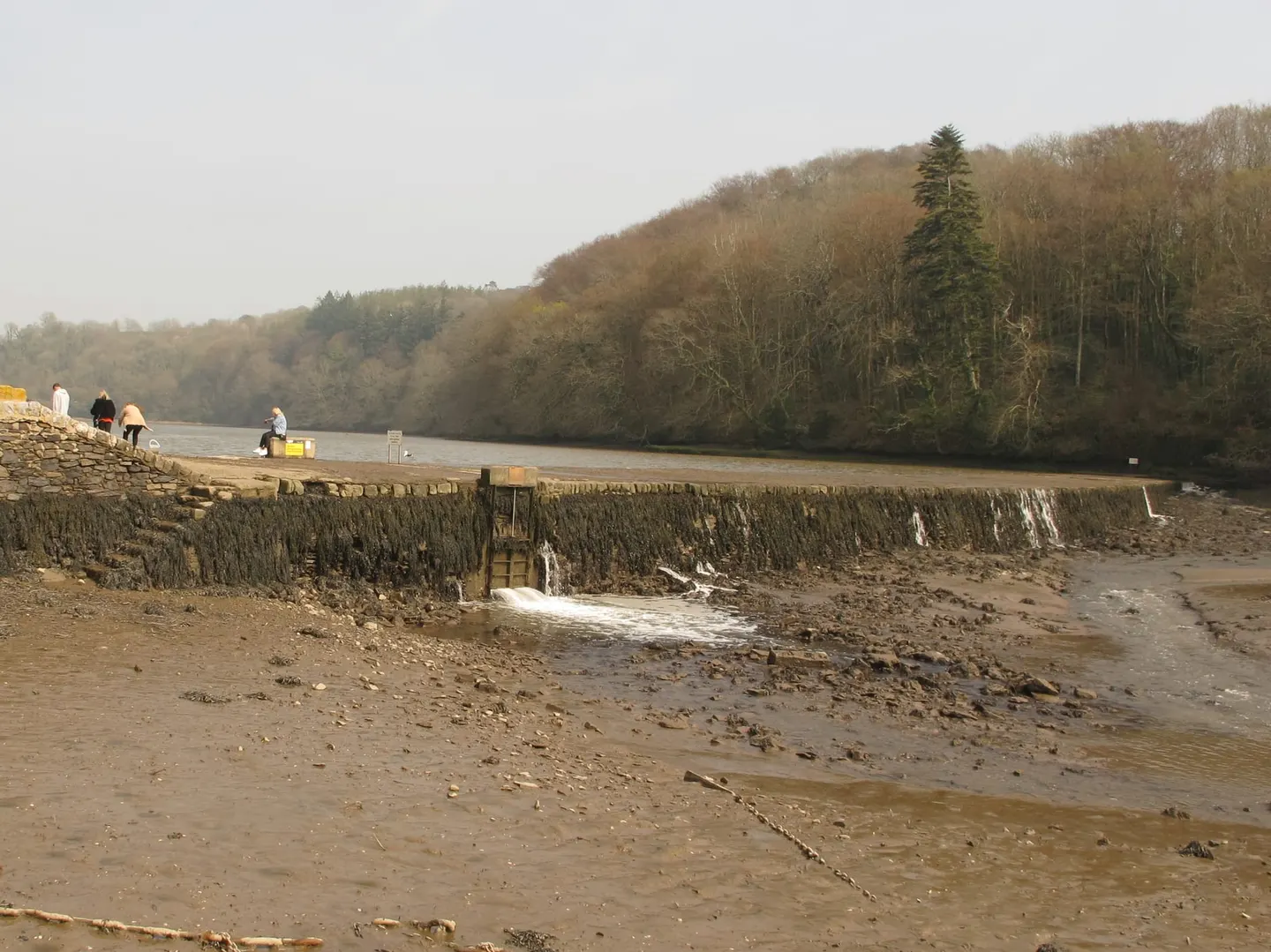 Photo of Stoke Gabriel, Dart Estuary, a swimming spot near Dittisham, Devon, south west England.