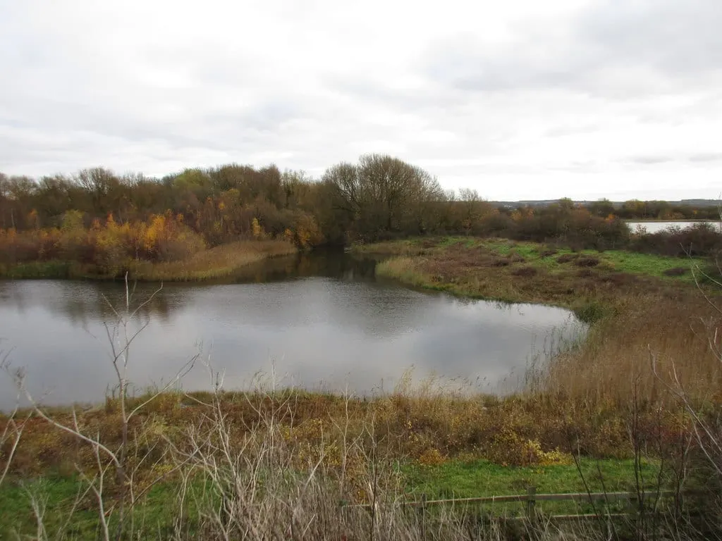 Photo of Idle Valley Nature Reserve, a nature reserve near Gringley on the Hill, Nottinghamshire, central England.