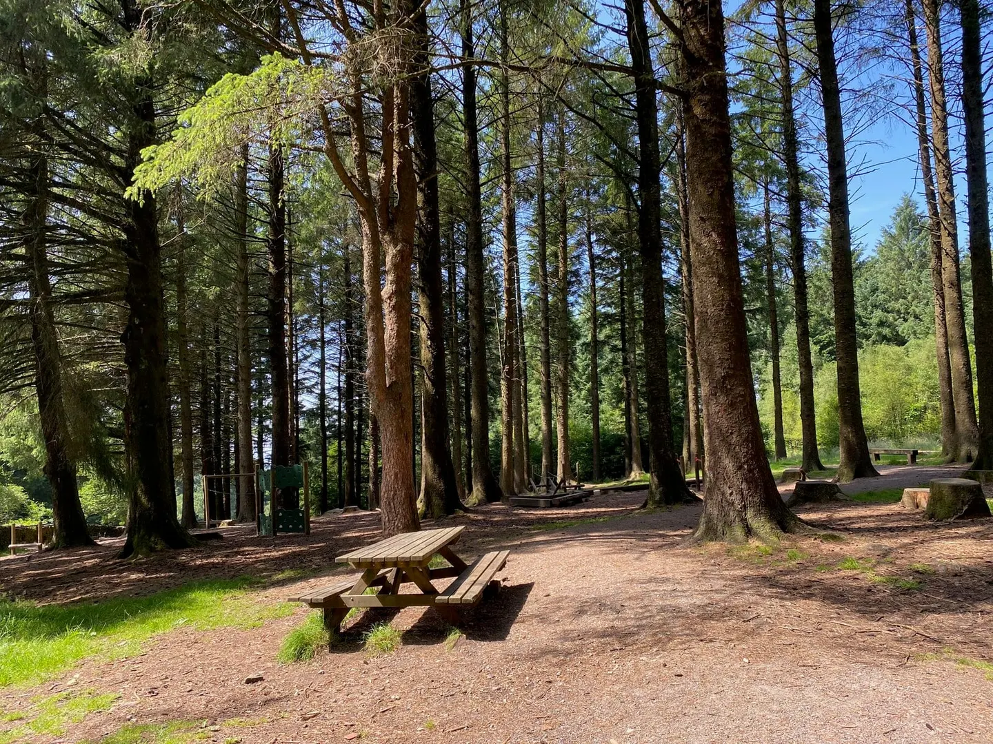 Photo of Beacon Fell Country Park, a country park near Chipping in the Forest of Bowland, Lancashire, north west England.