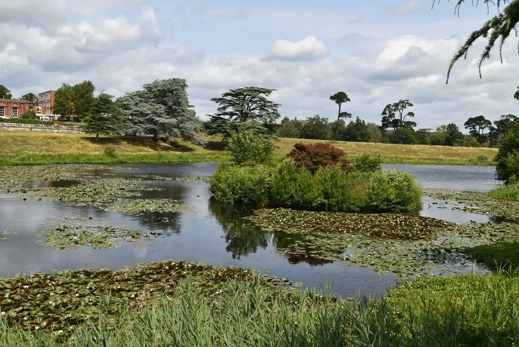 Photo of Ashburnham Park, a Site of Special Scientific Interest near Battle in the High Weald, East Sussex, south east England.