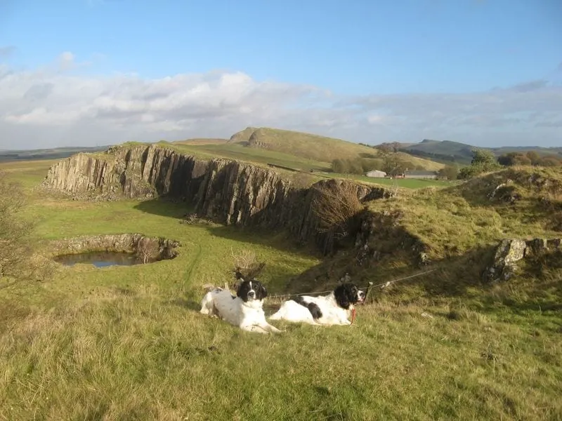 Photo: Walltown Crags, a viewpoint near Haltwhistle, Northumberland, north east England.