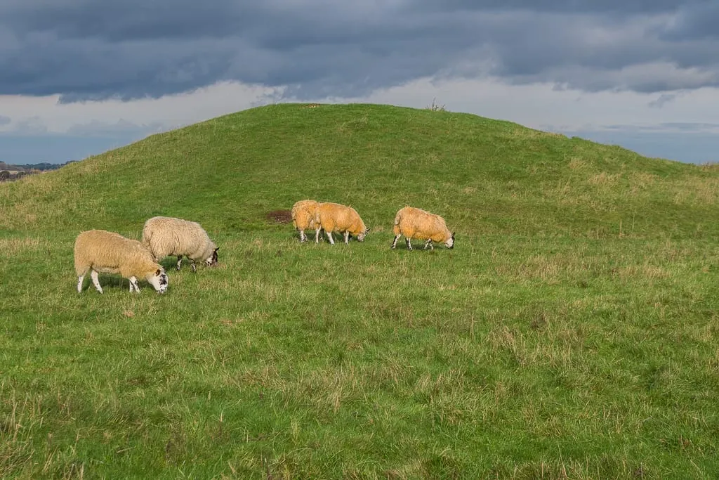 Photo of Windmill Hill, Avebury, an ancient site in the North Wessex Downs, Wiltshire, south west England.
