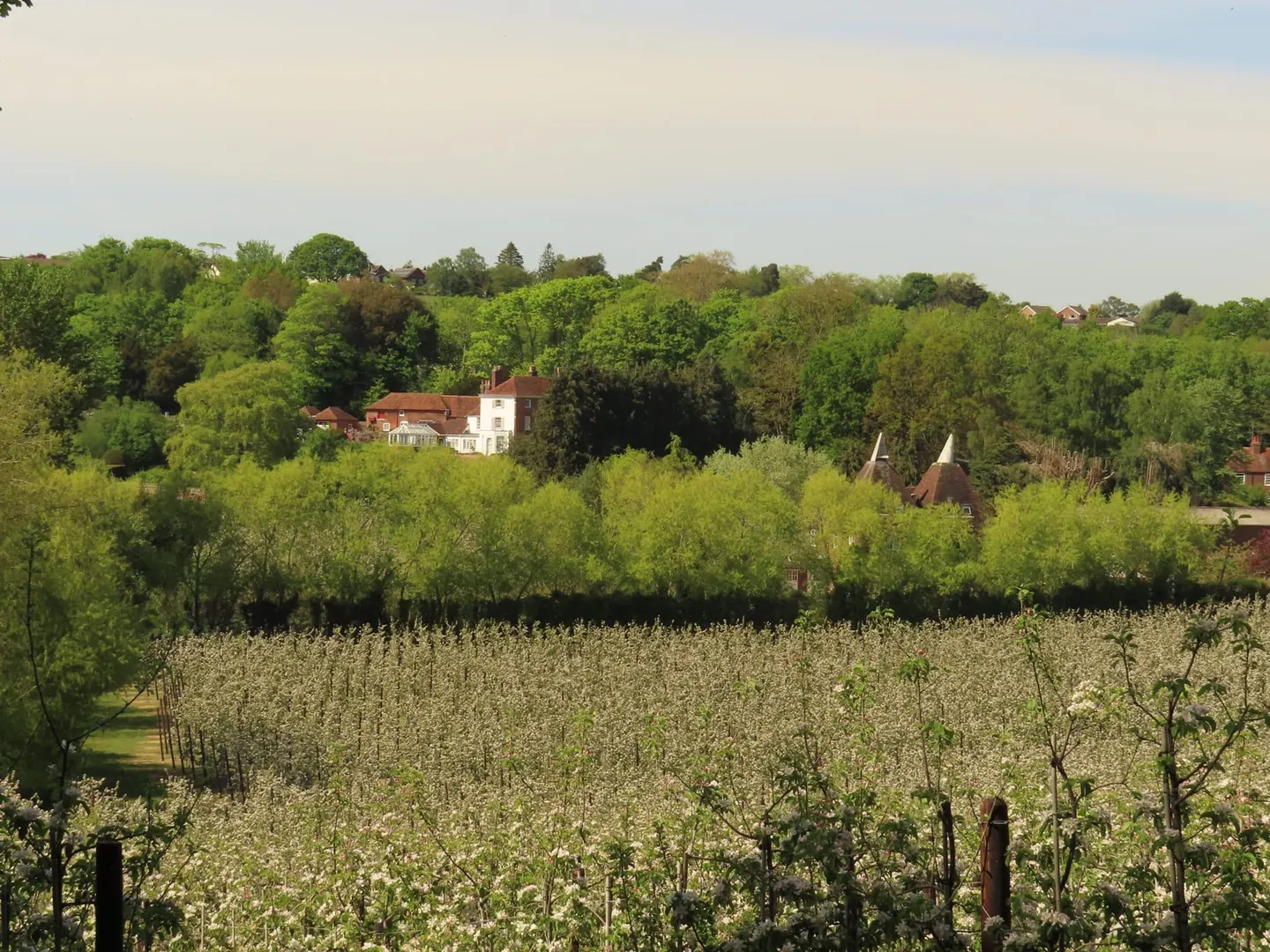 Photo of Harbledown: Golden Hill, a country estate near Canterbury, Kent, south east England.