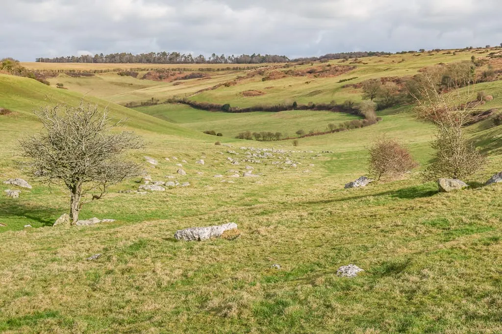 Photo of Valley of Stones, a National Nature Reserve near Abbotsbury, Dorset, south west England.