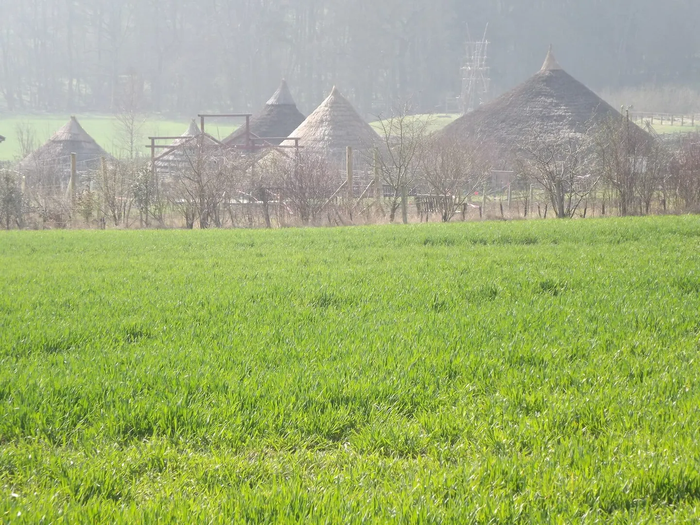 Photo of Butser Ancient Farm, a visitor attraction near Chalton in the South Downs, Hampshire, south east England.