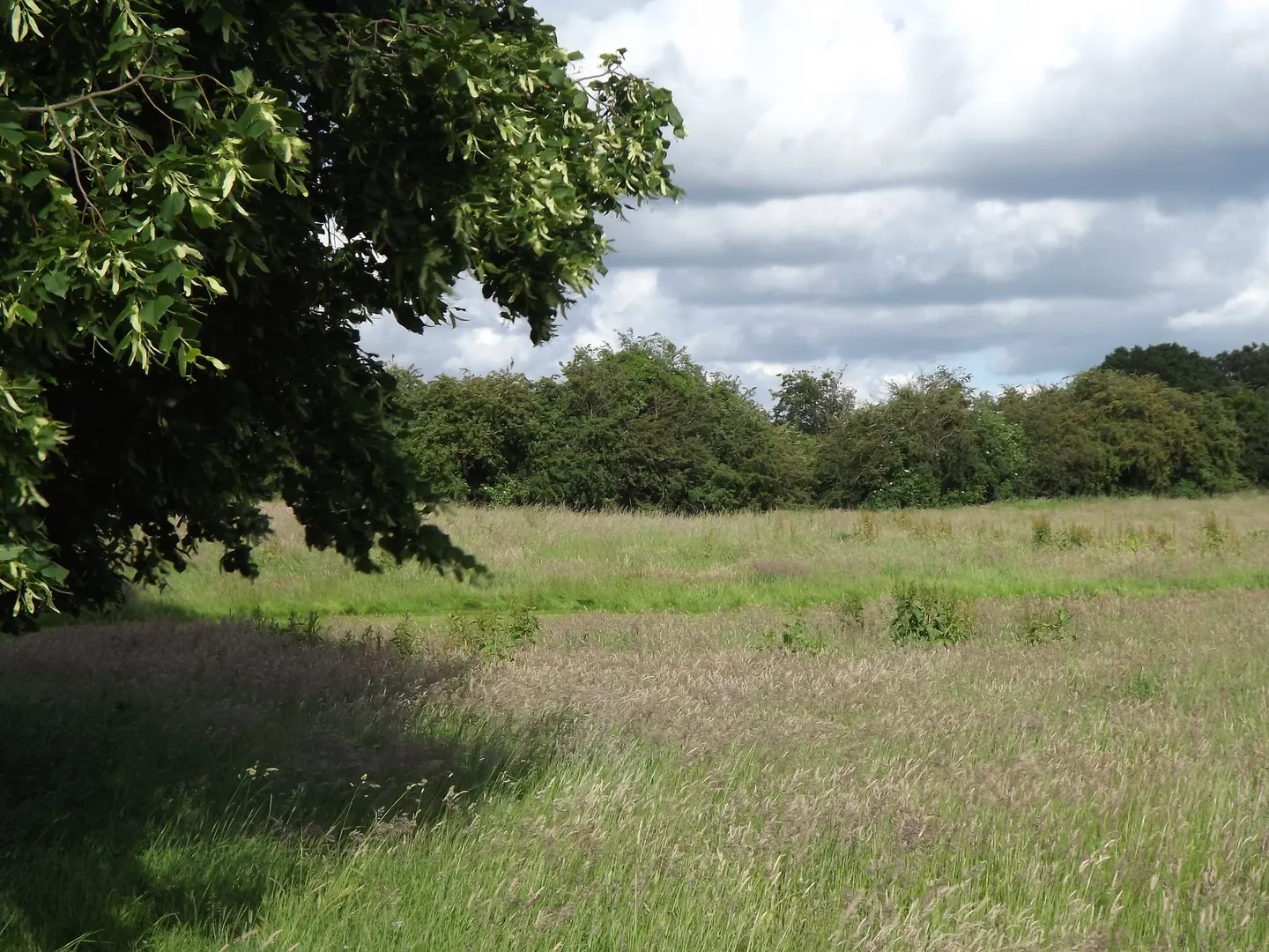 Photo of Oliver's Battery, the earthworks of a former castle near Basingstoke, Hampshire, south east England.