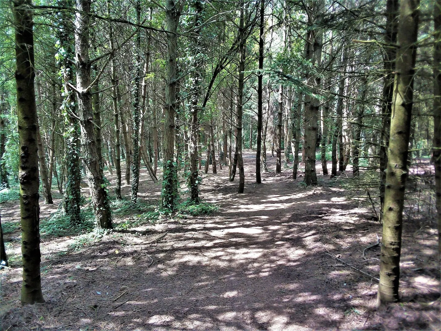 Photo of Newbold Comyn Country Park, a country park near Hampton Lucy, Warwickshire, central England.