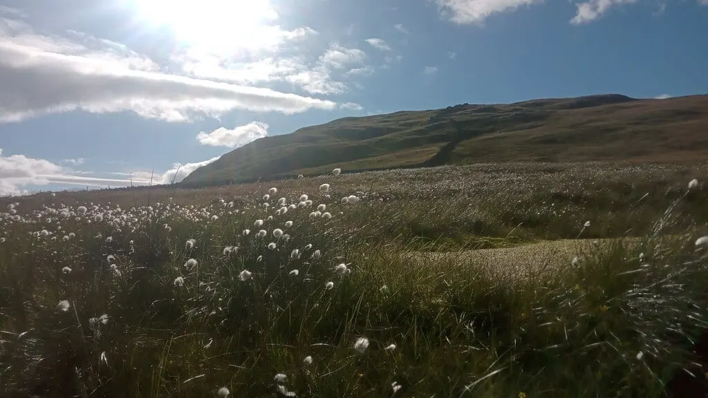 Photo: Great Yarlside, a 591m Lake District fell near Kentmere, Cumbria, north west England.