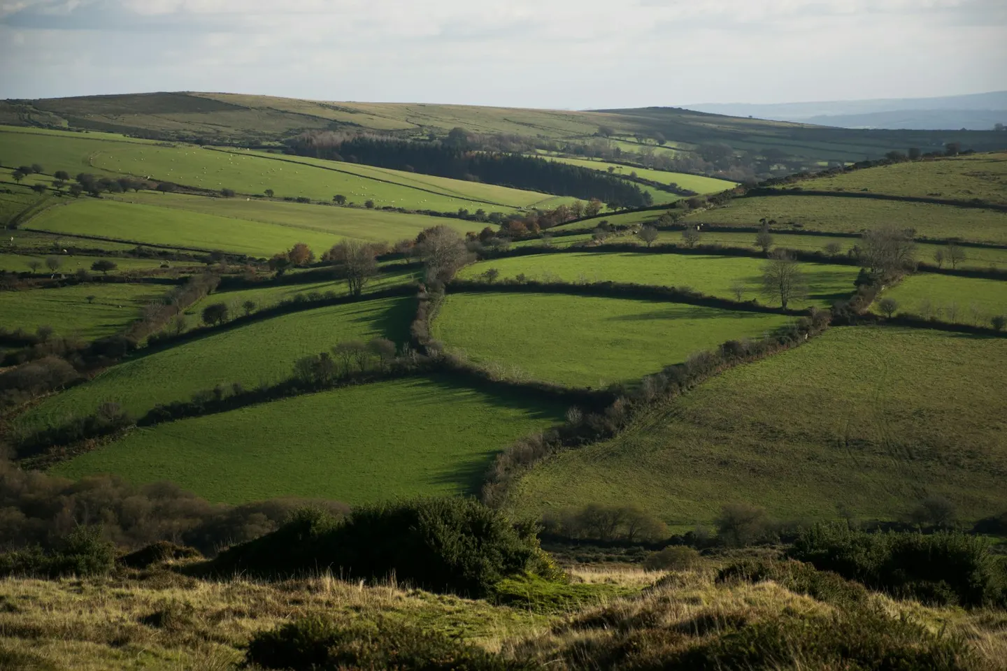 Photo along the South Downs Way, a 100-mile National Trail running from Winchester to Eastbourne, south east England.