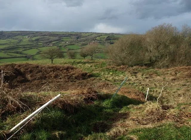 Photo of Dumpdon Hill, a country estate near Broadhembury in the Blackdown Hills, Devon, south west England.