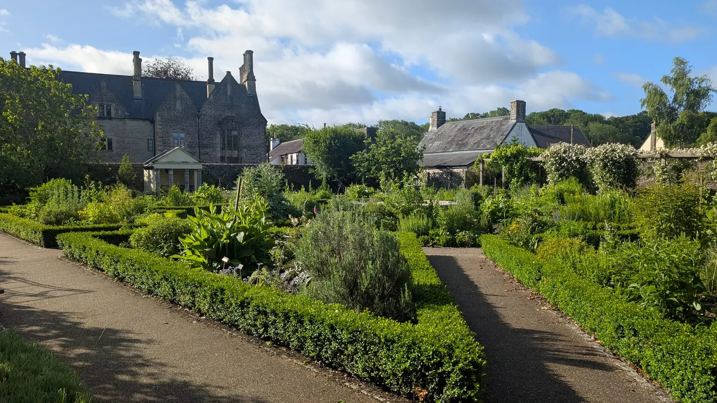 Photo of Cowbridge Physic Garden, a garden in the Vale of Glamorgan, south east Wales.