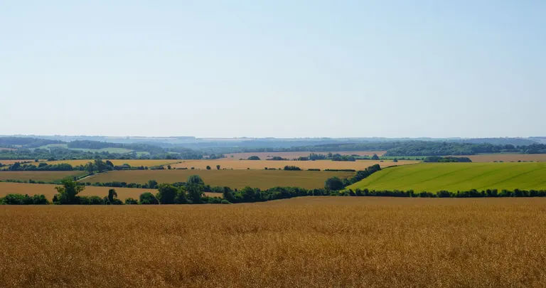 Photo of the Lincolnshire Wolds, a National Landscape in Lincolnshire, central England.