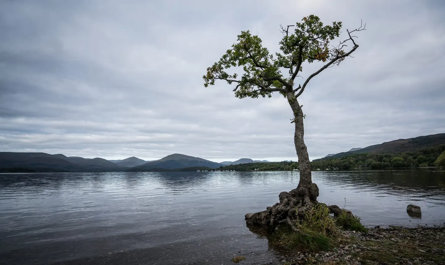 Photo of Milarrochy Bay, a beach near Balmaha in Loch Lomond & The Trossachs, Stirling, central Scotland.