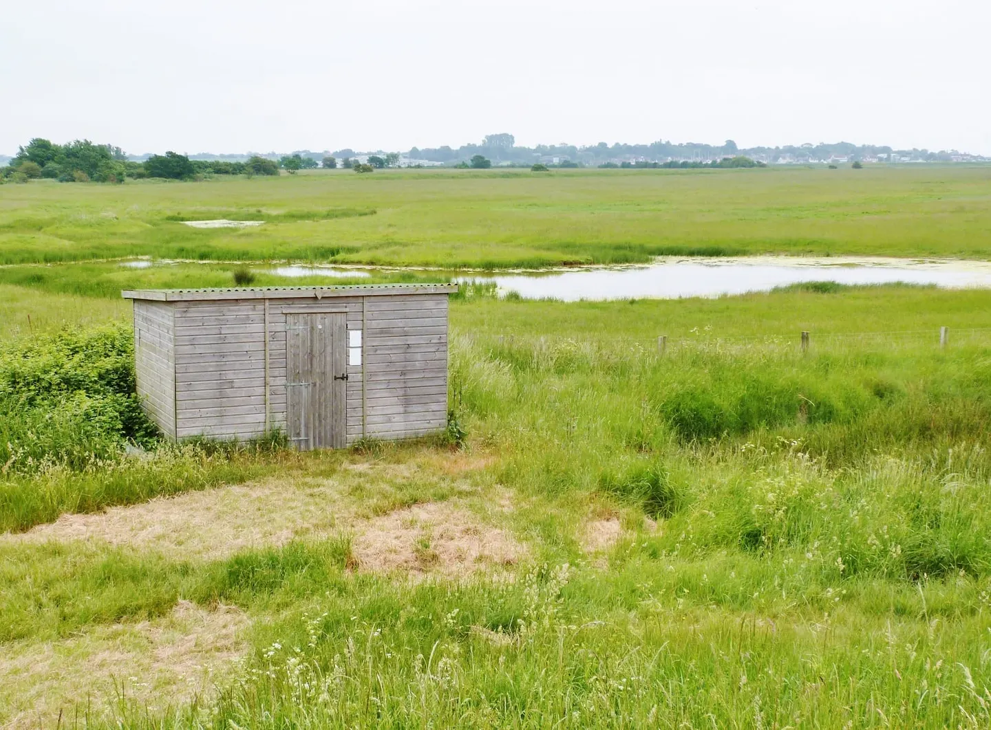 Photo of Copt Hall Marshes, a nature reserve near West Mersea, Essex, eastern England.
