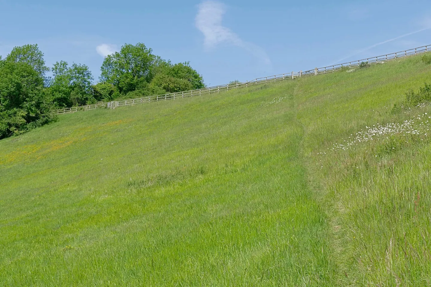 Photo of Pewley Down Nature Reserve Country Park, a country park near Chilworth, Surrey, south east England.