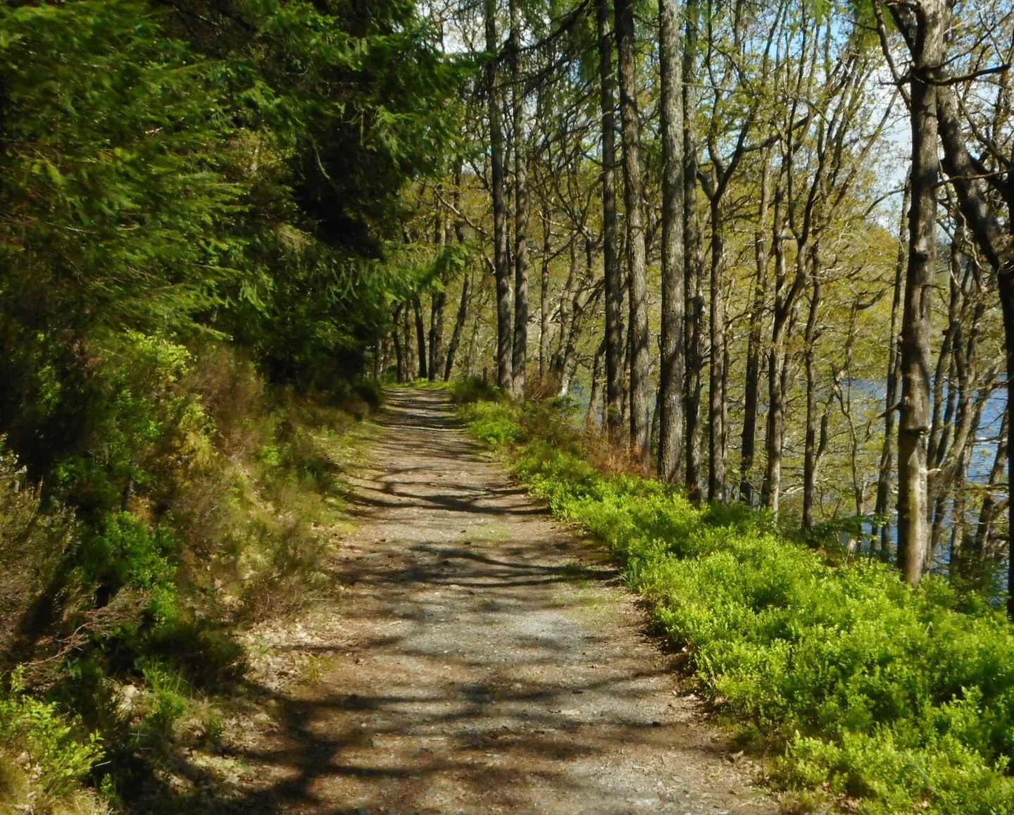 Photo of Loch Drunkie, a loch near Brig o' Turk in Loch Lomond & The Trossachs, Stirling, central Scotland.
