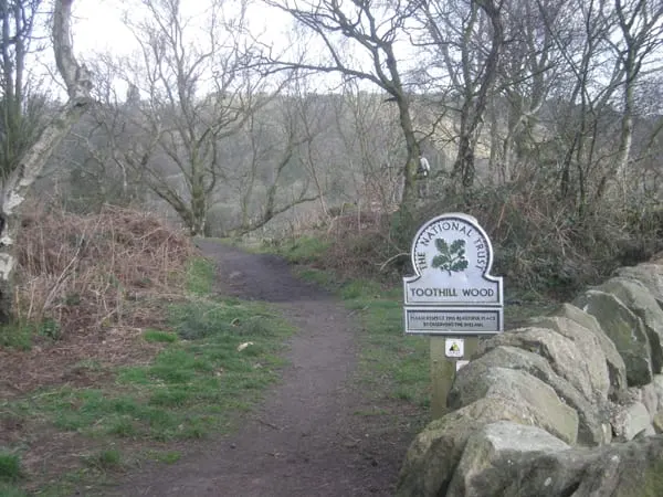 Photo of Toothill Wood, a nature reserve near Alton, Staffordshire, central England.