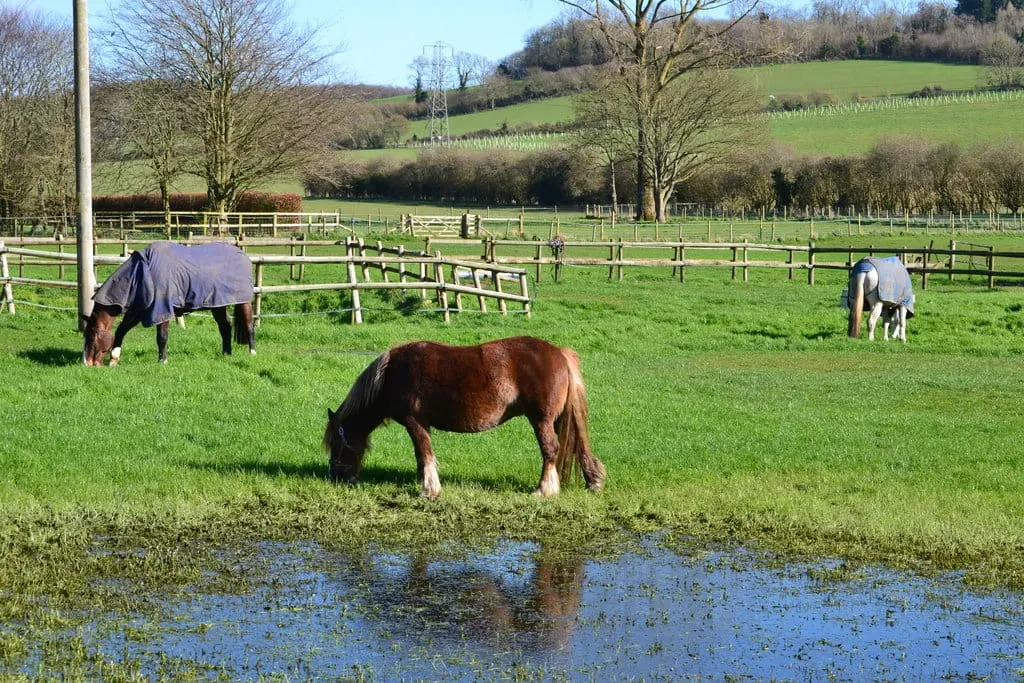 Photo of Charlton, a village in the South Downs, West Sussex, south east England.