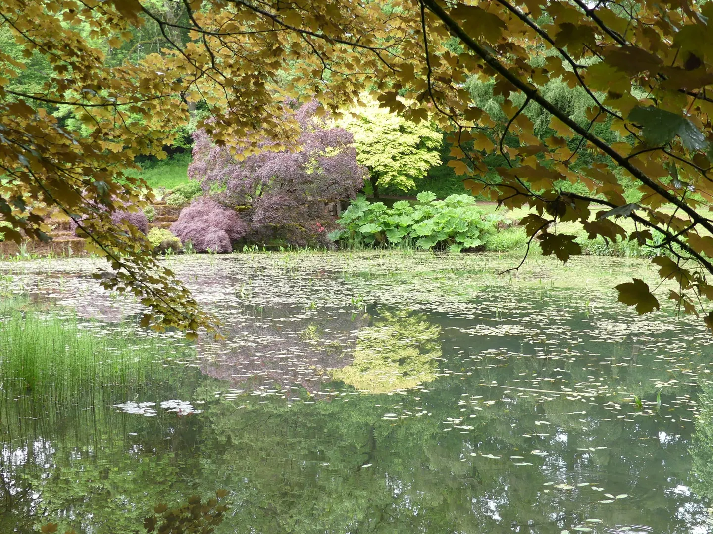 Photo of Lydney Park Gardens, a garden in Gloucestershire, south west England.