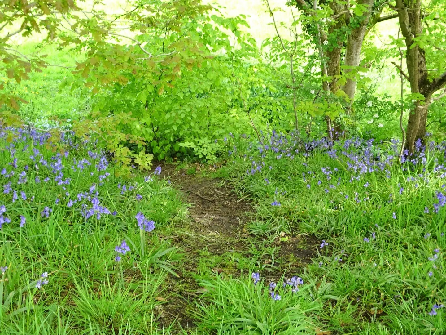 Photo of Seven Acres Country Park, a country park near Bolton, Greater Manchester, north west England.