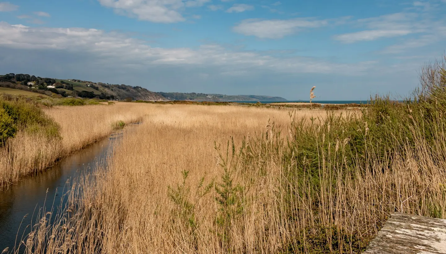 Photo of Slapton Ley, a National Nature Reserve in Devon, south west England.