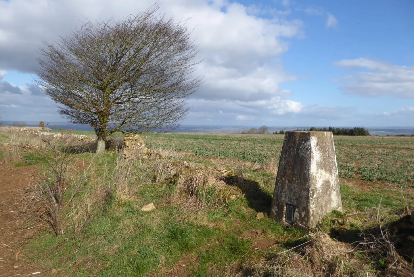 Photo: Ebrington Hill, a 261m hill near Ilmington in the Cotswolds, Warwickshire, central England.
