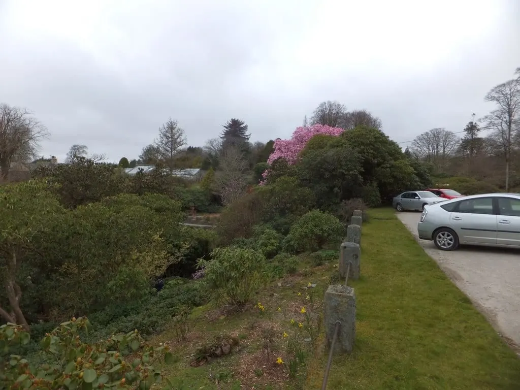 Photo of Lukesland Gardens, a garden near Ivybridge in Dartmoor, Devon, south west England.