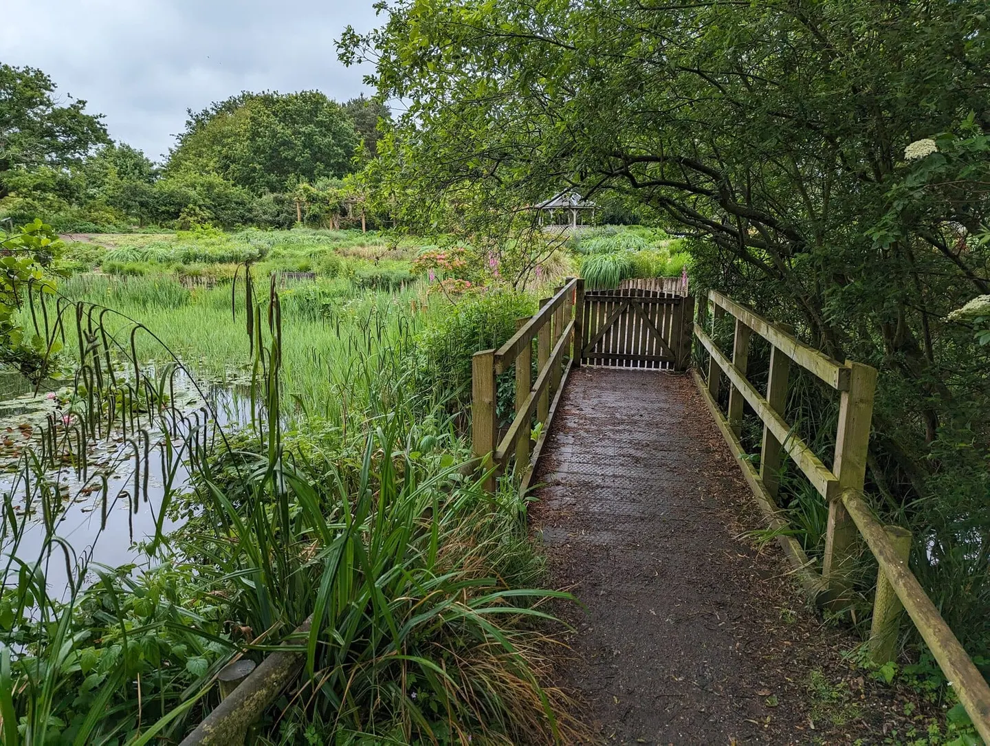 Photo of Pensthorpe Natural Park, a visitor attraction near Little Walsingham, Norfolk, eastern England.