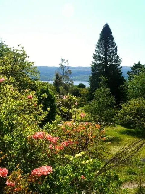 Photo of Crarae Garden, a garden near Minard, Argyll and Bute, the Scottish Highlands and Islands.