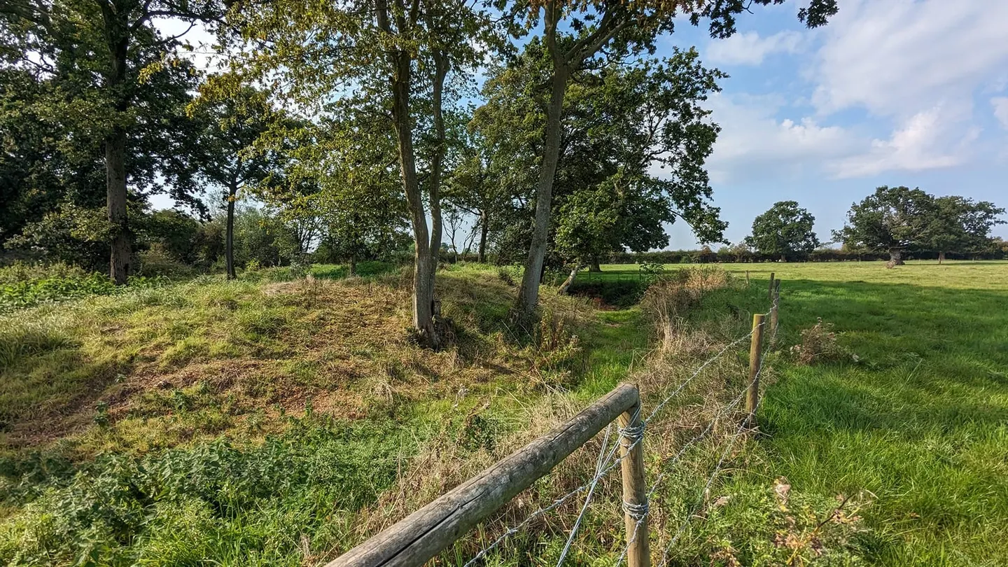 Photo of Darrow Wood, Denton, a nature reserve near Harleston, Norfolk, eastern England.