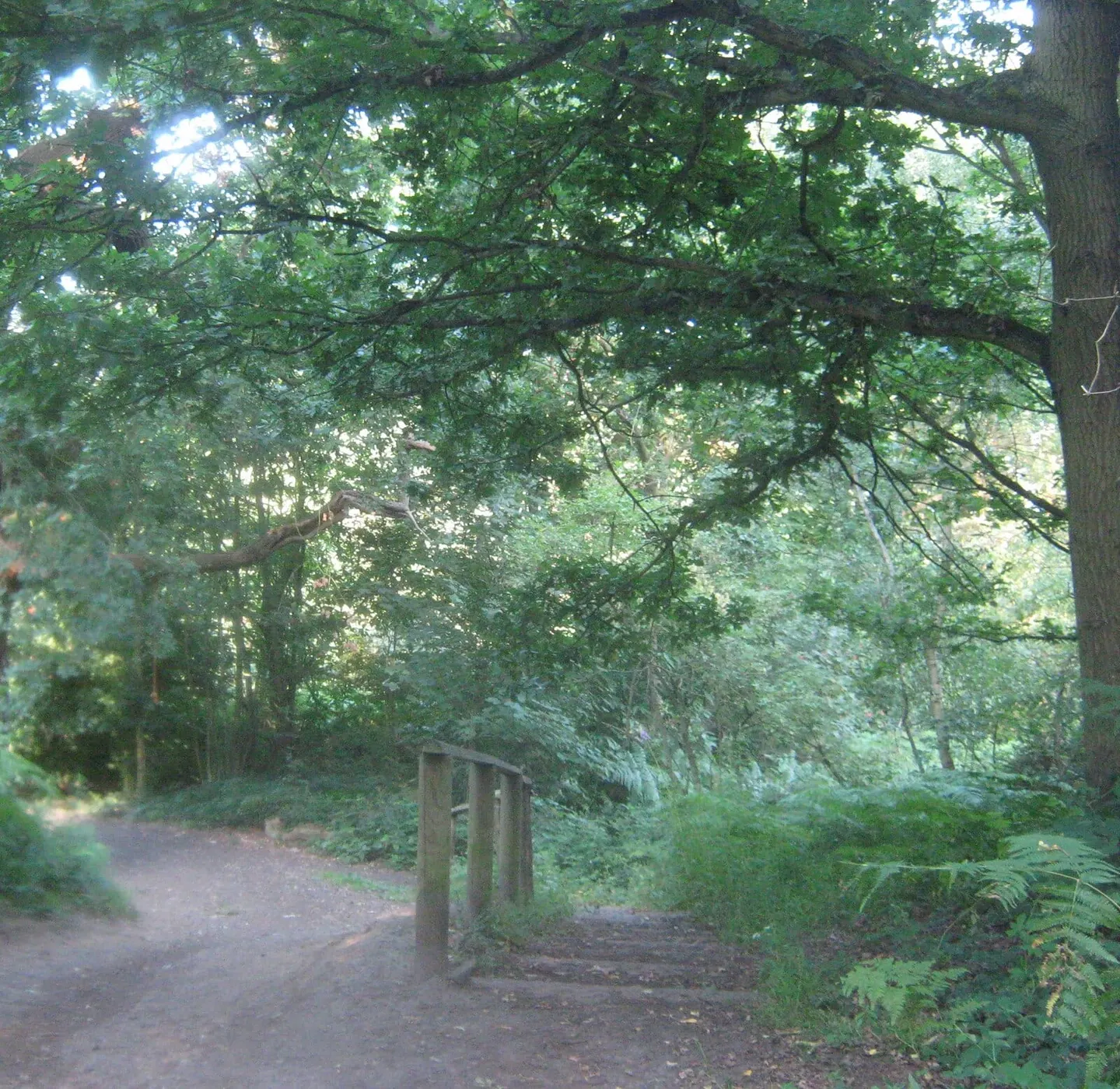 Photo of Scadbury Estate Country Park, a country park near Eynsford, London, England.