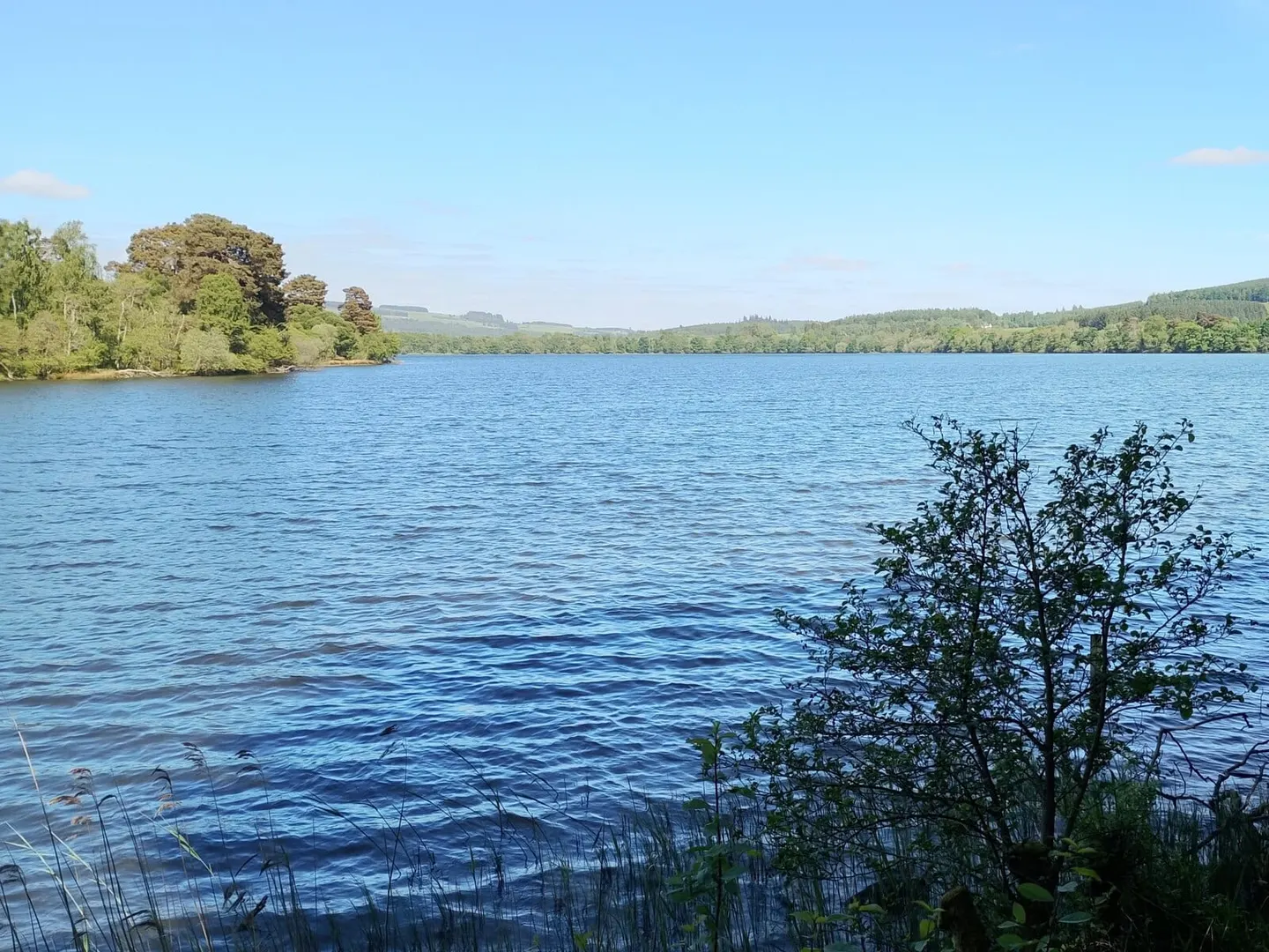 Photo of Loch of the Lowes, a loch near Little Dunkeld in the River Tay (Dunkeld), Perth and Kinross, central Scotland.