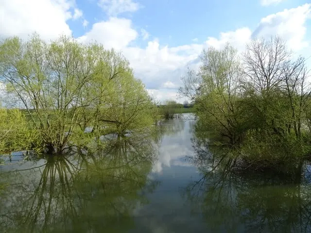 Photo of Wolvercote Mill Stream, a swimming spot in Oxfordshire, south east England.