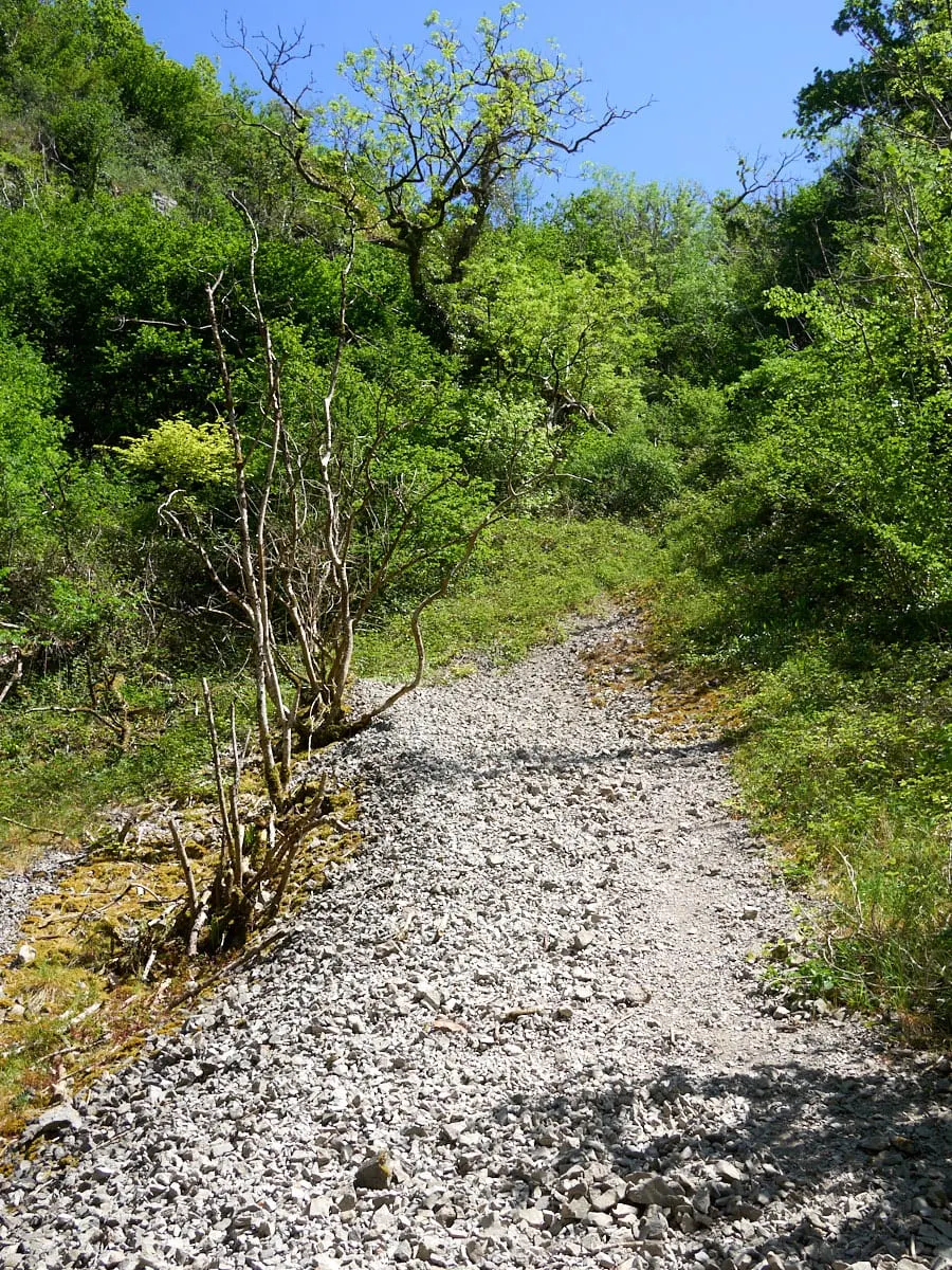 Photo of Ebbor Gorge, a Site of Special Scientific Interest near Priddy in the Mendip Hills, Somerset, south west England.