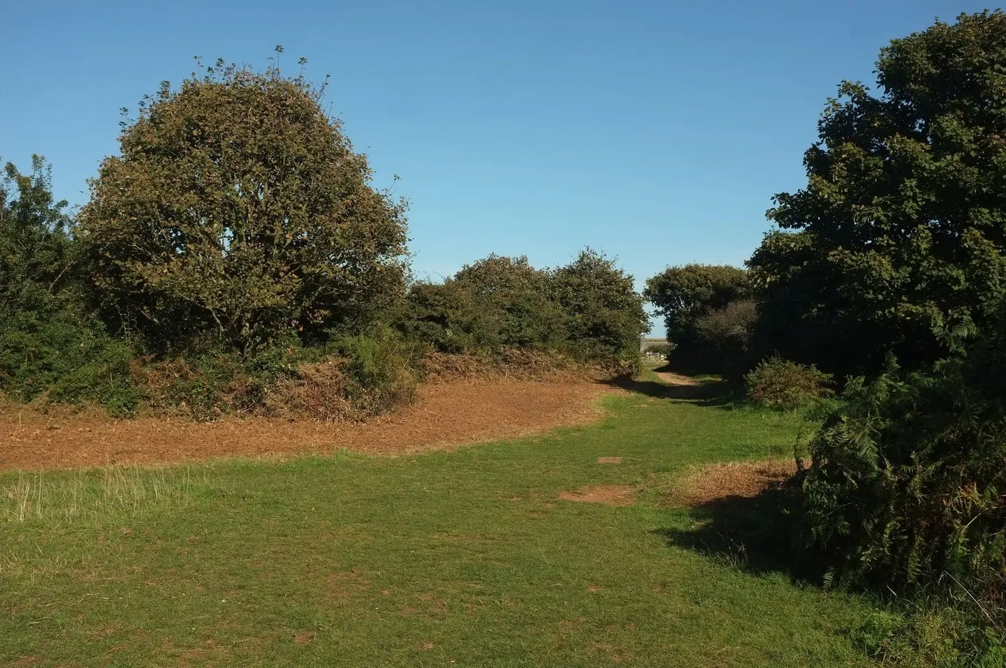 Photo of Berry Head Country Park, a country park near Dartmouth, Devon, south west England.