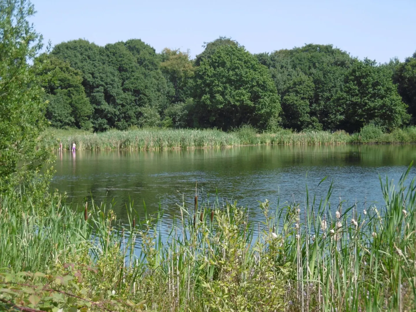 Photo of Wanstead Park, a Grade II* registered house & garden near Leytonstone High Road, London, England.