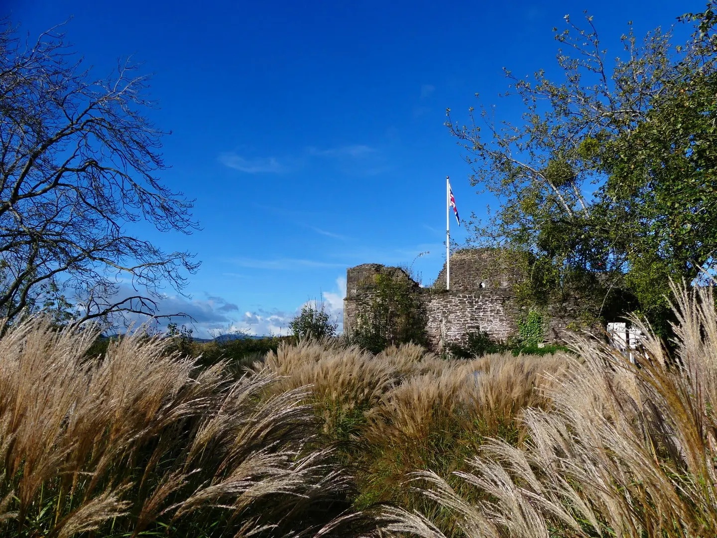 Photo of Monmouth Castle, a ruined castle in Monmouthshire, south east Wales.