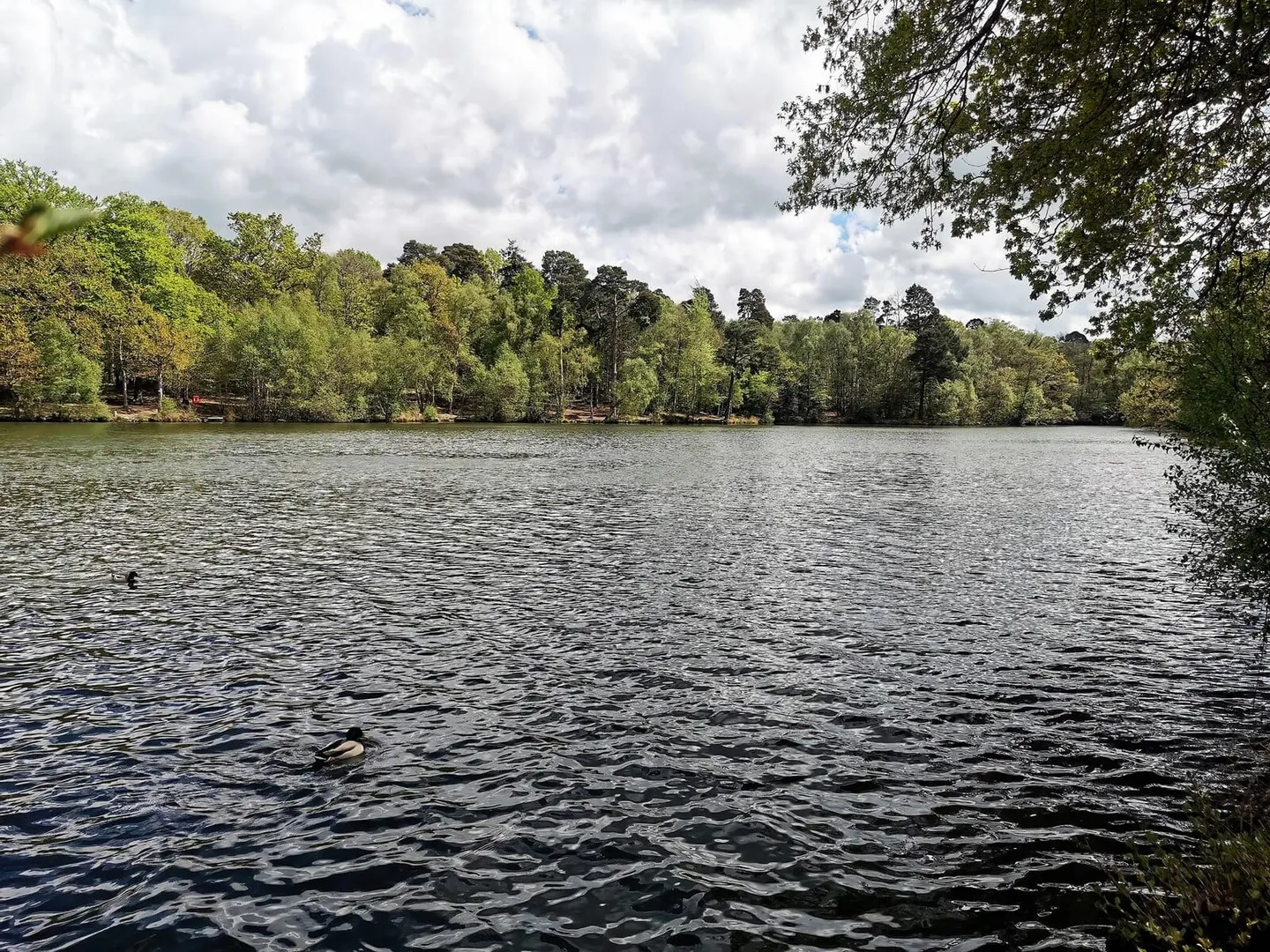 Photo of Buchan Country Park, a country park near Crawley in the High Weald, West Sussex, south east England.