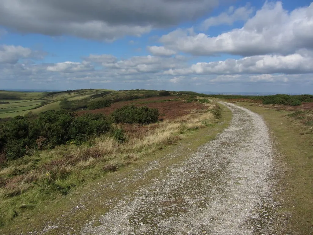 Photo of Ventnor Downs, a Site of Special Scientific Interest near Bonchurch, the Isle of Wight, south east England.